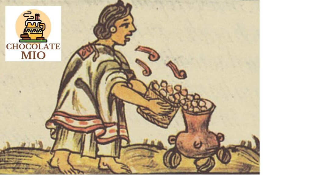 chocolate cacao